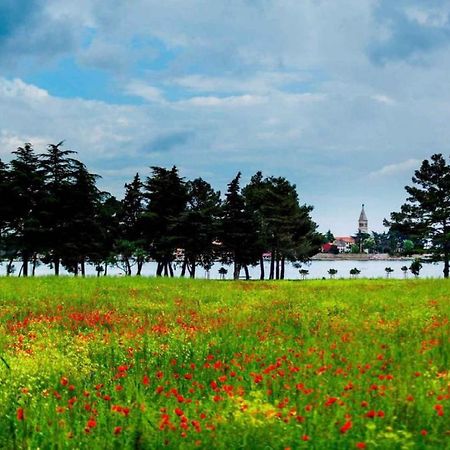 Apartment Lopar 15 Εξωτερικό φωτογραφία